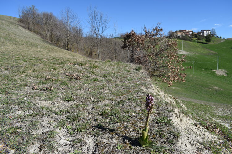 Le Barlie degli Appennini (da Pavia a Bologna)