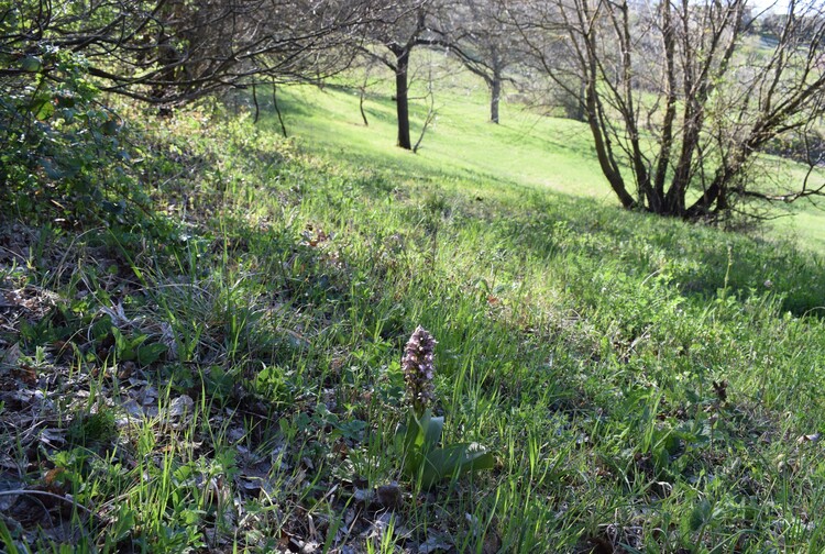 Le Barlie degli Appennini (da Pavia a Bologna)