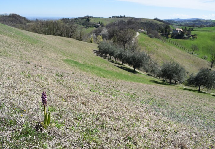 Le Barlie degli Appennini (da Pavia a Bologna)