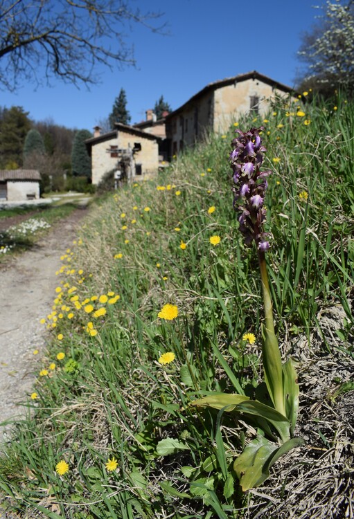 Le Barlie degli Appennini (da Pavia a Bologna)