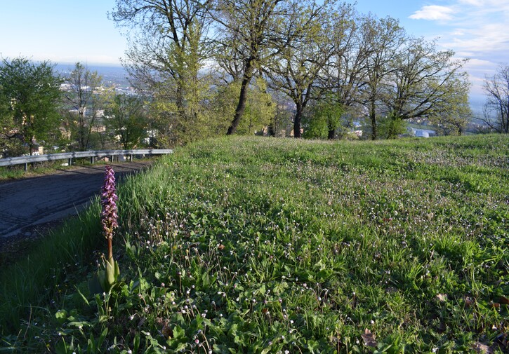 Le Barlie degli Appennini (da Pavia a Bologna)