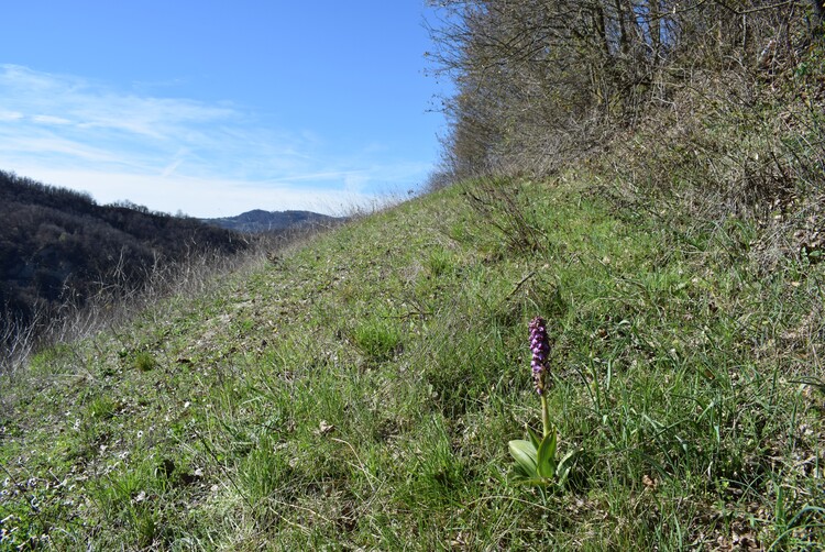 Le Barlie degli Appennini (da Pavia a Bologna)