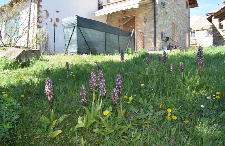 Le Barlie degli Appennini (da Pavia a Bologna)