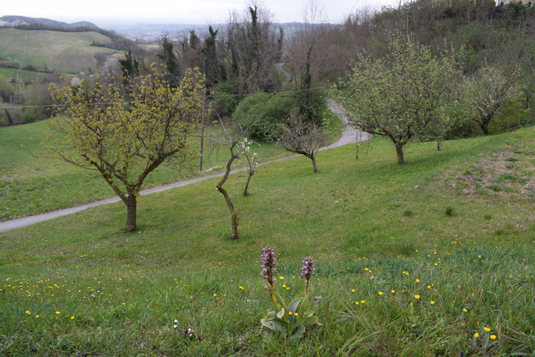 Le Barlie degli Appennini (da Pavia a Bologna)