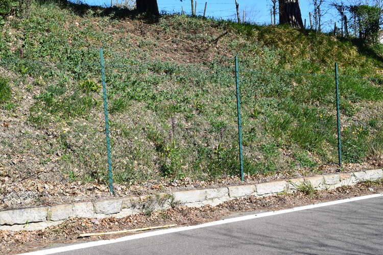 Le Barlie degli Appennini (da Pavia a Bologna)