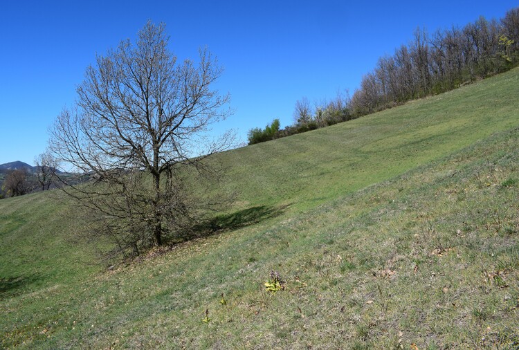 Le Barlie degli Appennini (da Pavia a Bologna)
