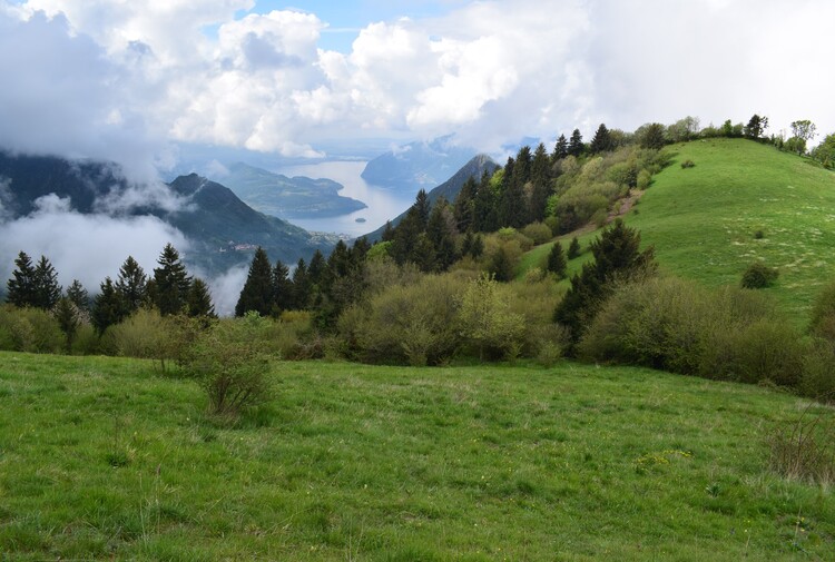 Le fioriture di Monte Agolo (Sebino bresciano)