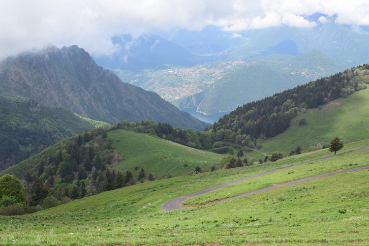 Le fioriture di Monte Agolo (Sebino bresciano)