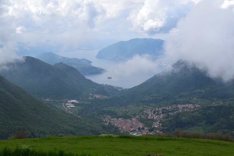 Le fioriture di Monte Agolo (Sebino bresciano)