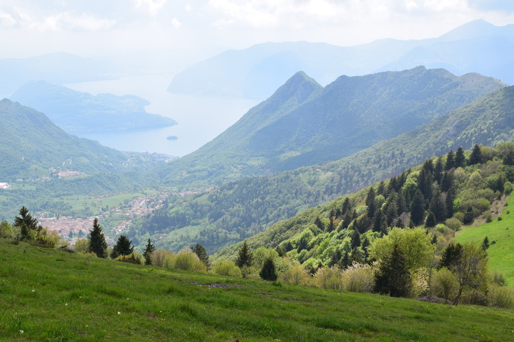 Le fioriture di Monte Agolo (Sebino bresciano)