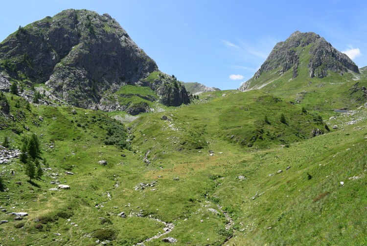 La magnificenza di Nigritella corneliana (Alpi Cozie)