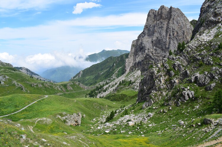 La magnificenza di Nigritella corneliana (Alpi Cozie)