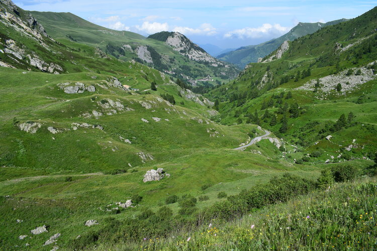 La magnificenza di Nigritella corneliana (Alpi Cozie)