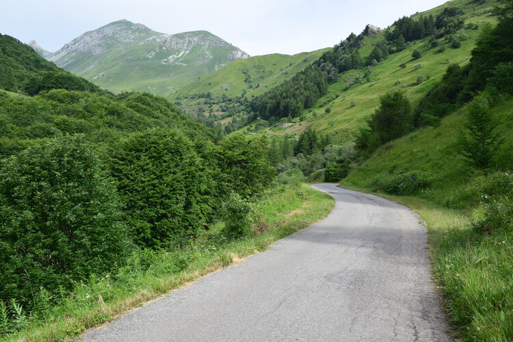 La magnificenza di Nigritella corneliana (Alpi Cozie)