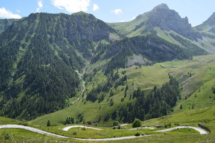 La magnificenza di Nigritella corneliana (Alpi Cozie)