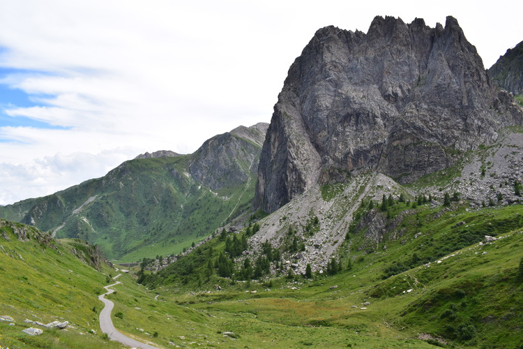 La magnificenza di Nigritella corneliana (Alpi Cozie)