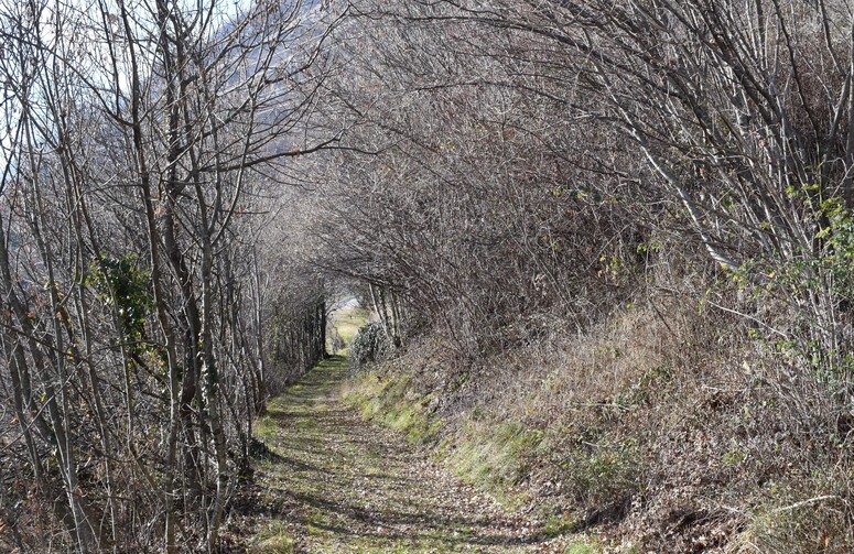 Il Rinascimento in Valle Camonica - Santuario della SS. Annunciata a Piancogno