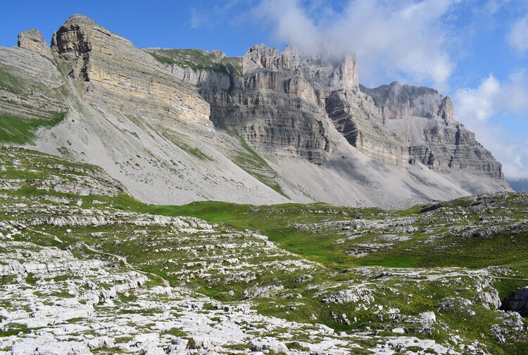 Nigritelle e loro ibridi in Brenta