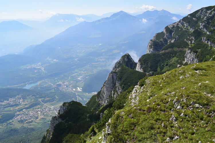 Le Nigritella multicolore dell''Altopiano della Paganella (Trentino-Alto Adige)