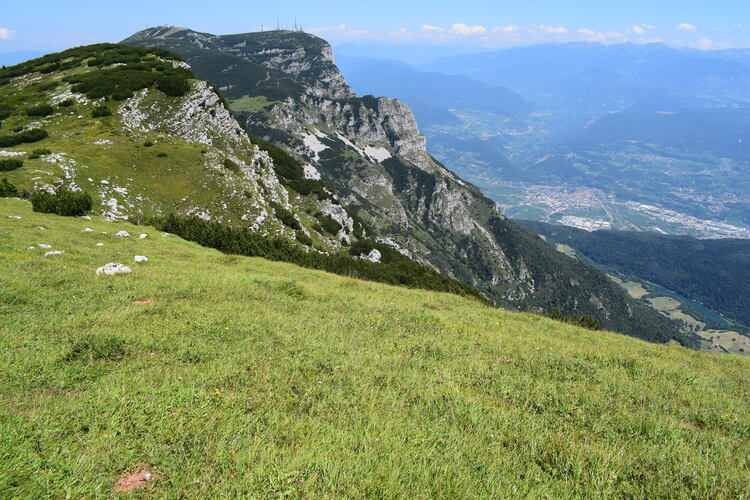 Le Nigritella multicolore dell''Altopiano della Paganella (Trentino-Alto Adige)