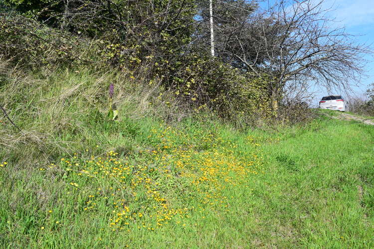 Le Barlie degli Appennini (da Pavia a Bologna)