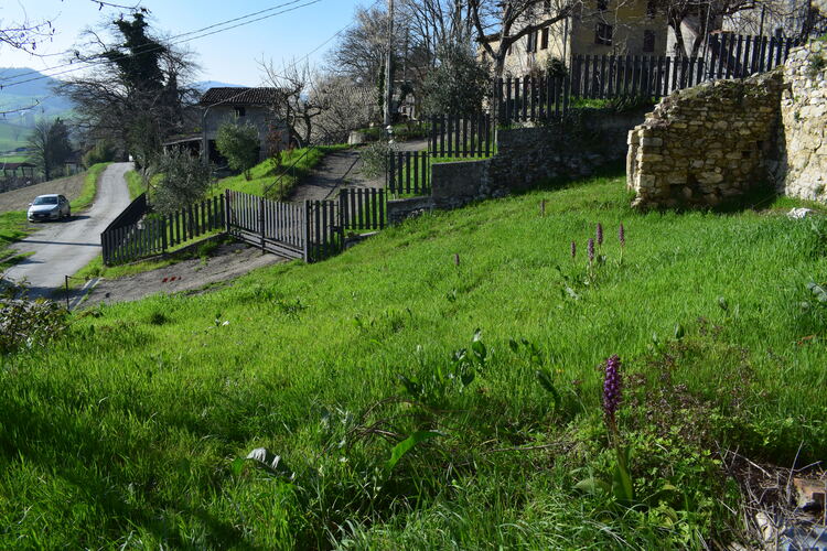 Le Barlie degli Appennini (da Pavia a Bologna)