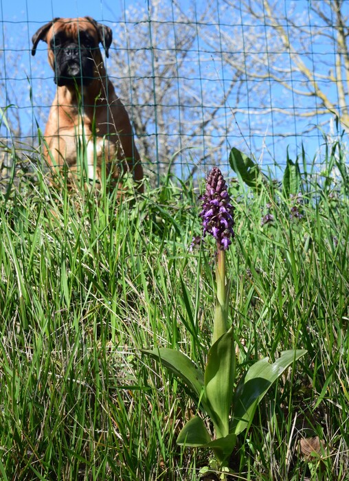 Le Barlie degli Appennini (da Pavia a Bologna)