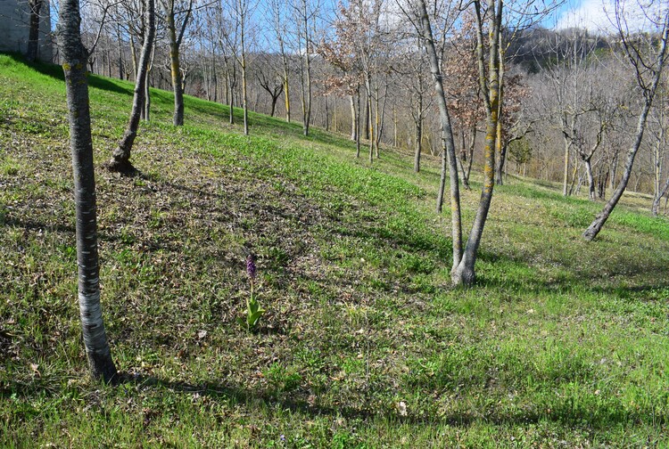 Le Barlie degli Appennini (da Pavia a Bologna)