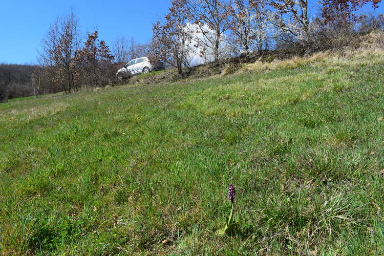 Le Barlie degli Appennini (da Pavia a Bologna)