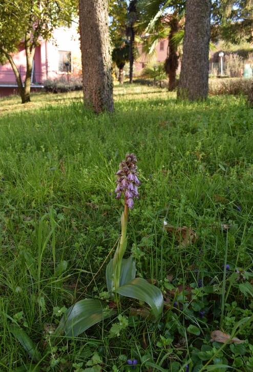 Le Barlie degli Appennini (da Pavia a Bologna)