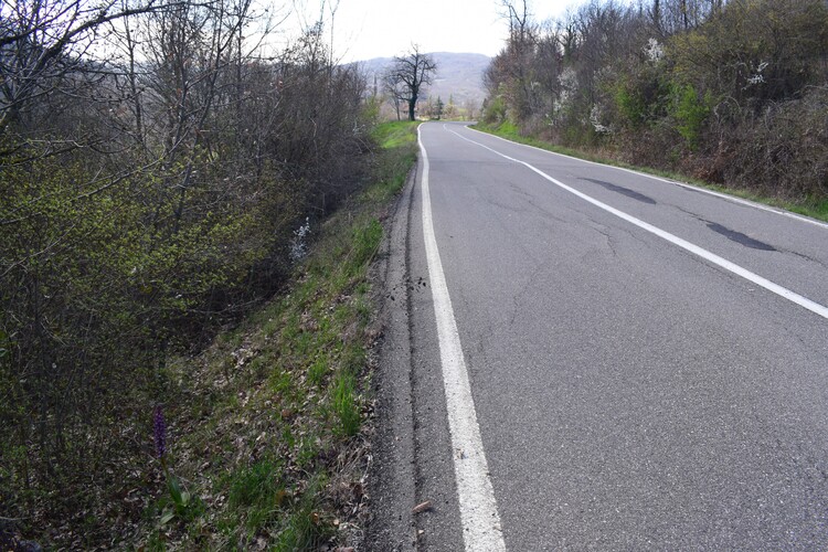 Le Barlie degli Appennini (da Pavia a Bologna)