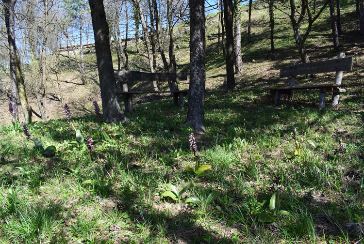 Le Barlie degli Appennini (da Pavia a Bologna)
