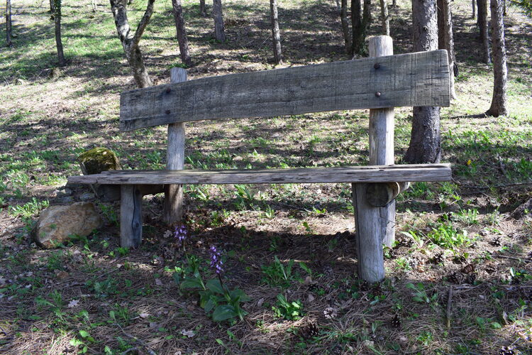 Le Barlie degli Appennini (da Pavia a Bologna)