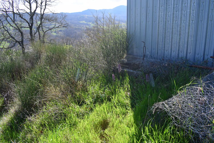 Le Barlie degli Appennini (da Pavia a Bologna)
