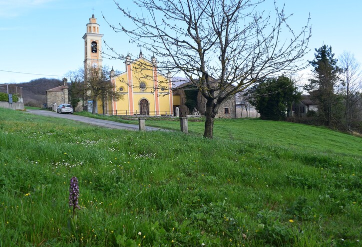 Le Barlie degli Appennini (da Pavia a Bologna)