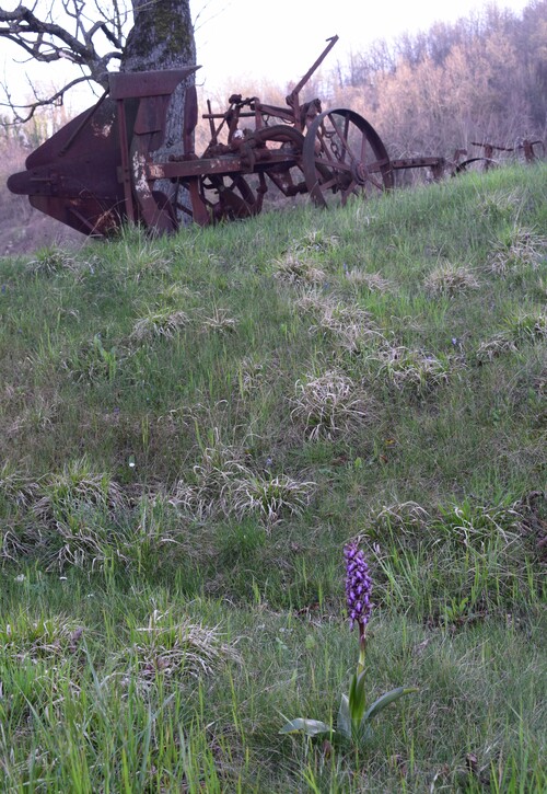 Le Barlie degli Appennini (da Pavia a Bologna)