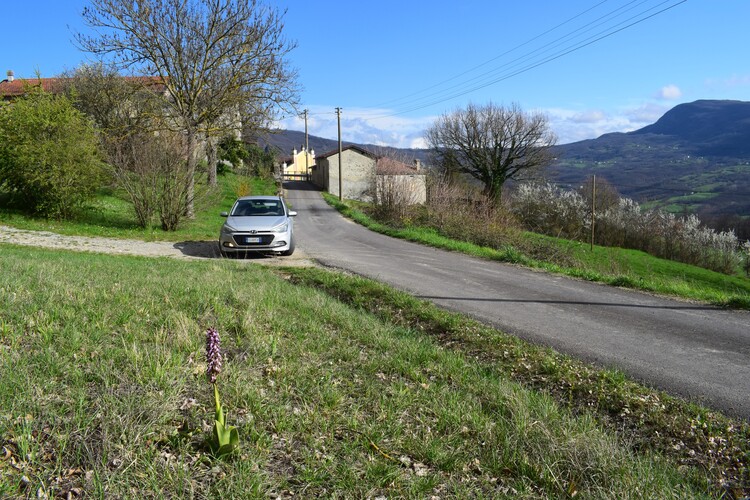 Le Barlie degli Appennini (da Pavia a Bologna)