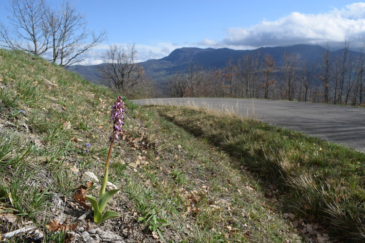 Le Barlie degli Appennini (da Pavia a Bologna)