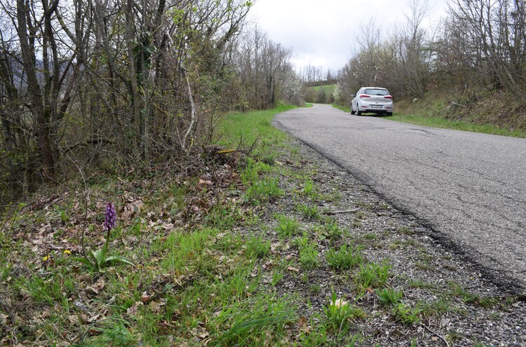 Le Barlie degli Appennini (da Pavia a Bologna)