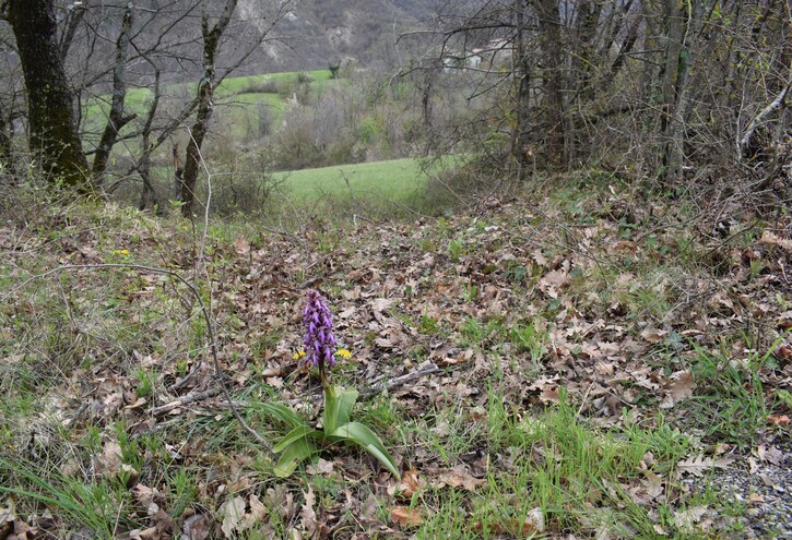 Le Barlie degli Appennini (da Pavia a Bologna)
