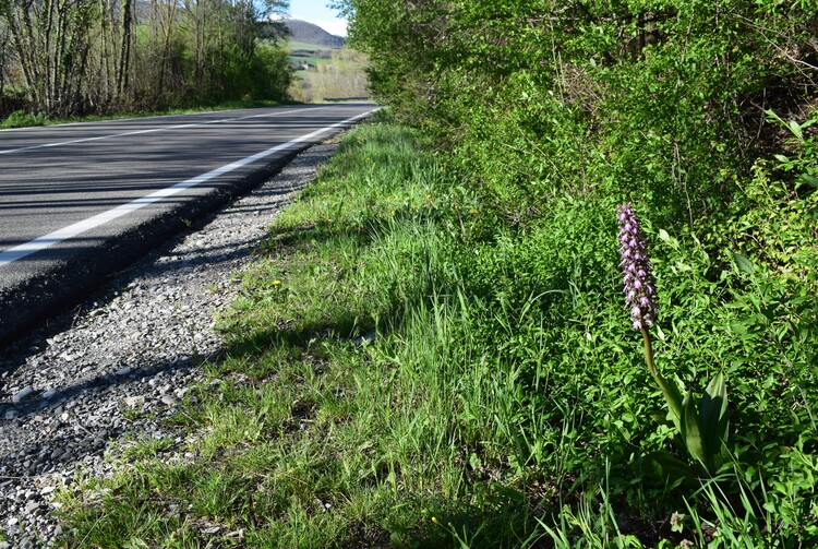 Le Barlie degli Appennini (da Pavia a Bologna)