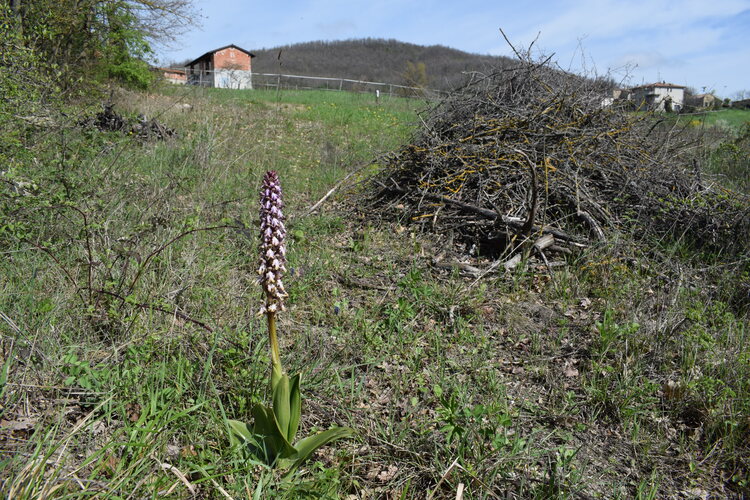 Le Barlie degli Appennini (da Pavia a Bologna)