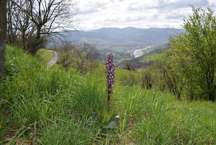 Le Barlie degli Appennini (da Pavia a Bologna)