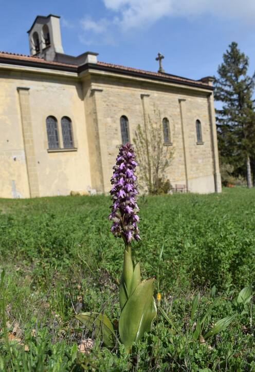 Le Barlie degli Appennini (da Pavia a Bologna)