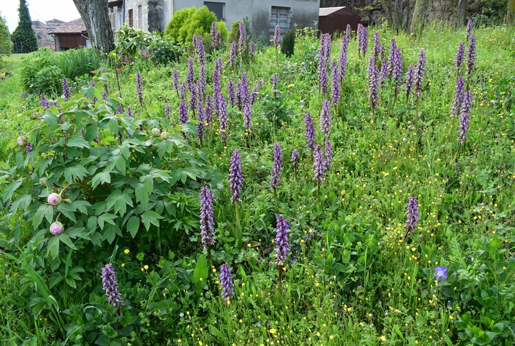 Le Barlie degli Appennini (da Pavia a Bologna)