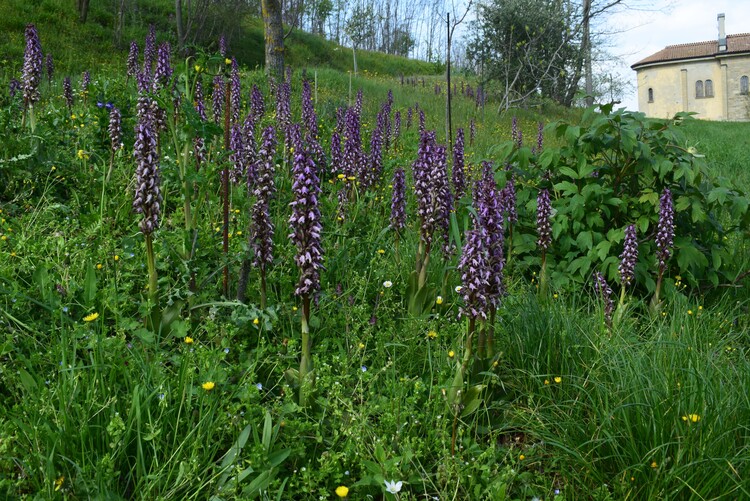 Le Barlie degli Appennini (da Pavia a Bologna)