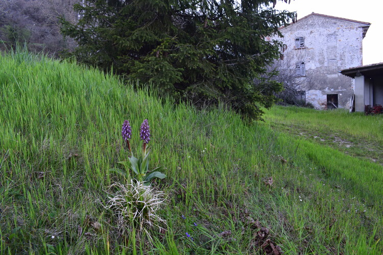 Le Barlie degli Appennini (da Pavia a Bologna)