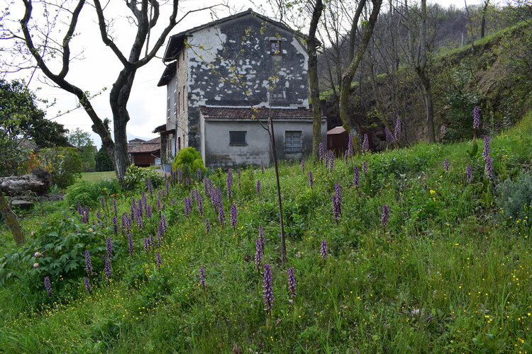 Le Barlie degli Appennini (da Pavia a Bologna)