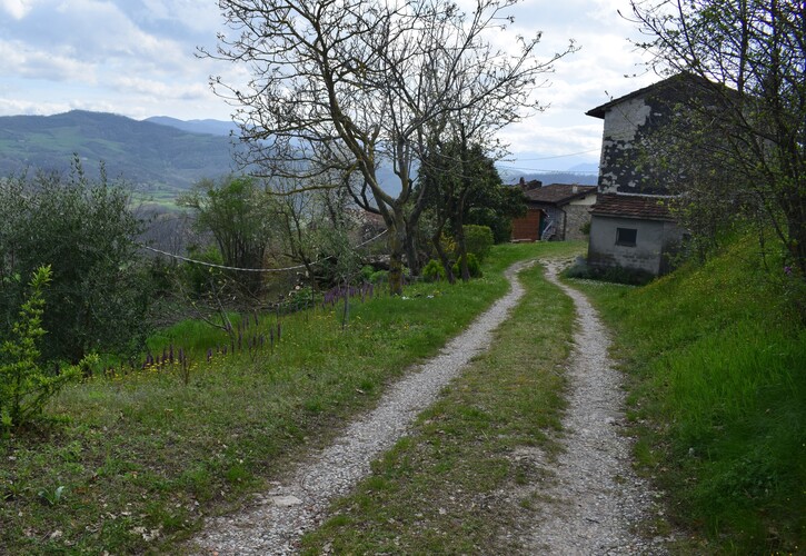 Le Barlie degli Appennini (da Pavia a Bologna)