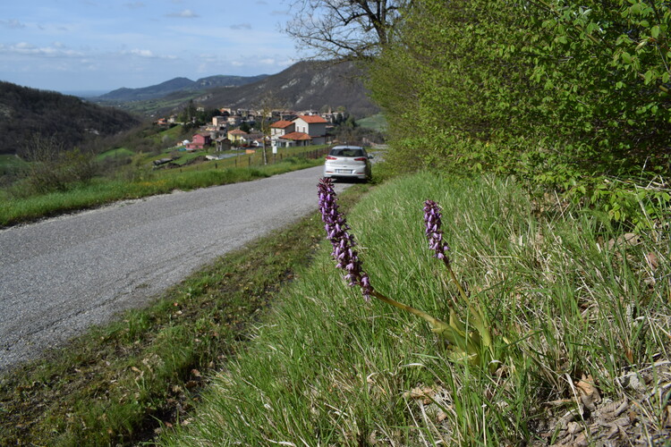 Le Barlie degli Appennini (da Pavia a Bologna)